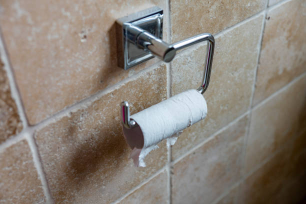 istock Toilet paper end of roll. 1212391342