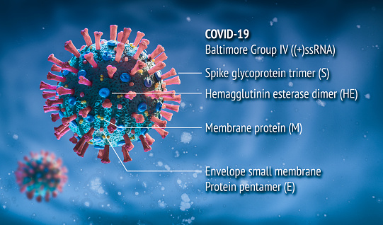 Microscopic real 3D model of the corona virus COVID-19. The image is a scientific interpretation of the virus with all relevant details and description explaining : Spike Glycoproteins, Hemagglutinin-esterase, E- and M-Proteins and Envelope.