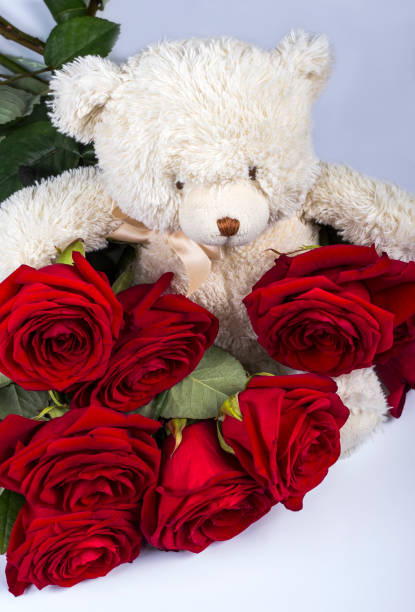 istock toy bear holding red fresh roses on a light background 1212394900