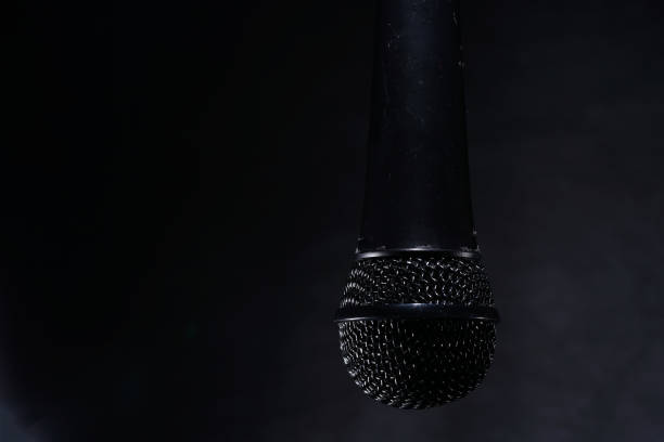 istock Microphones with wire mesh network photographed in the studio with flash light 1212395807