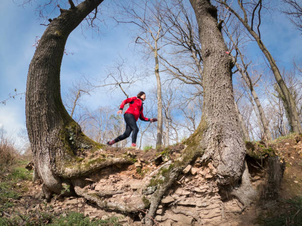 seniorin joggt im wald - running track women running spring stock-fotos und bilder