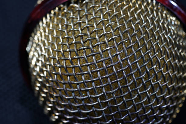 istock Microphones with wire mesh network photographed in the studio with flash light 1212396026