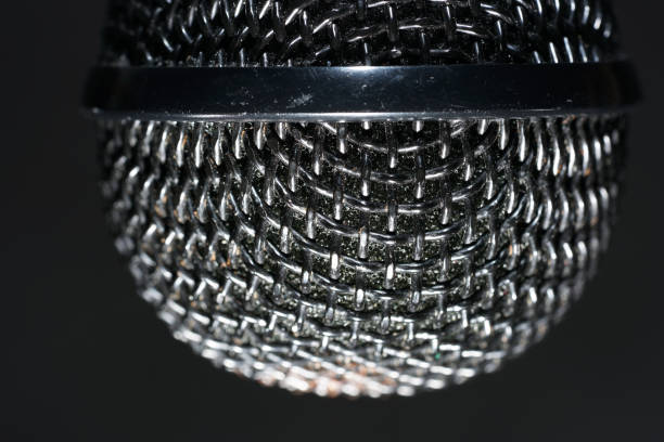 istock Microphones with wire mesh network photographed in the studio with flash light 1212396027