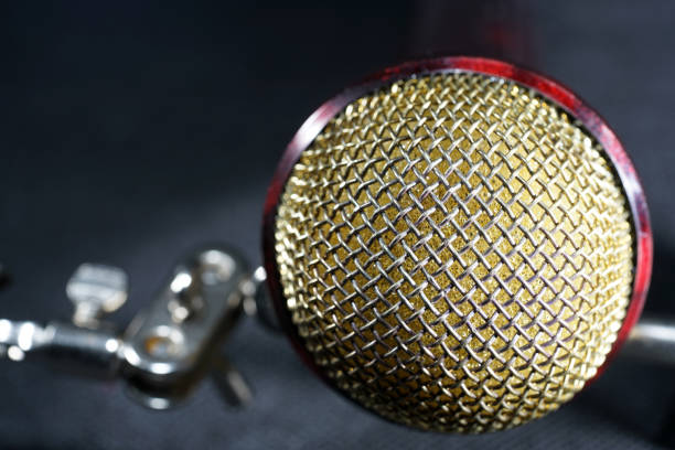 Microphones with wire mesh network photographed in the studio with flash light