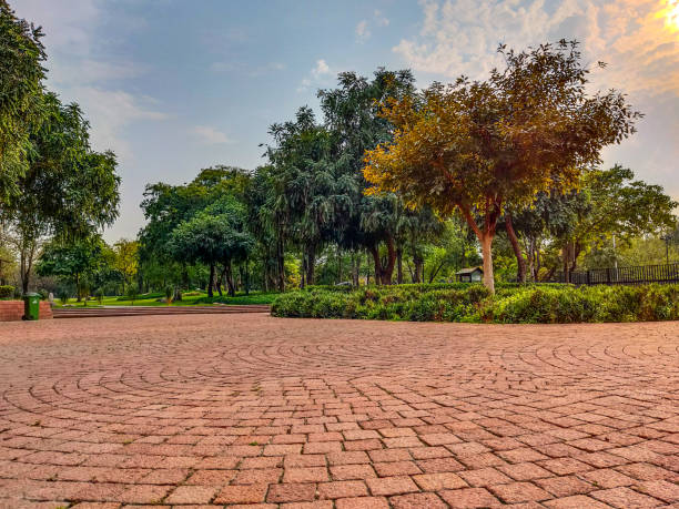 tło kamiennej tekstury podłogi w parku, piękny krajobraz zachodu słońca. - brick yellow road footpath zdjęcia i obrazy z banku zdjęć