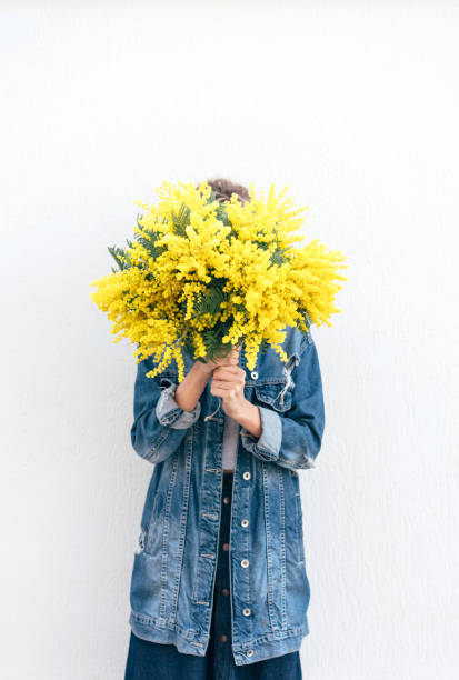 istock large bouquet of mimosa. 1212398741