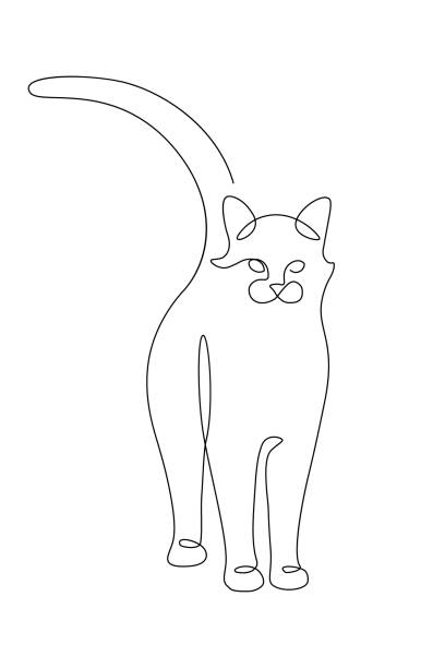 Cat Cat in continuous line art drawing style. Minimalist black linear sketch isolated on white background. Vector illustration simple cat line art stock illustrations