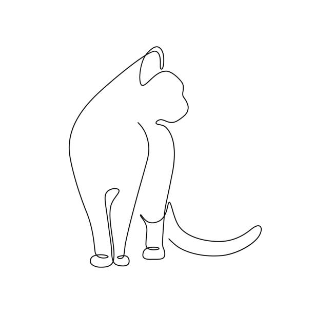 illustrazioni stock, clip art, cartoni animati e icone di tendenza di gatto - kitten white background domestic animals domestic cat