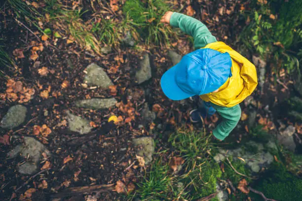 Toddler boy hiking in mountains, family adventure, top view. Little child walking in rocky green forest.