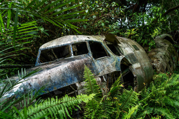 Airplane wreck in jungle, Kuranda, Australia Kuranda, Australia airplane crash stock pictures, royalty-free photos & images