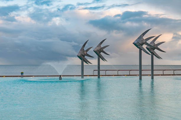 laguna tropicale di nuoto sull'esplanade a cairns con spiaggia artificiale, queensland, australia - cairns foto e immagini stock