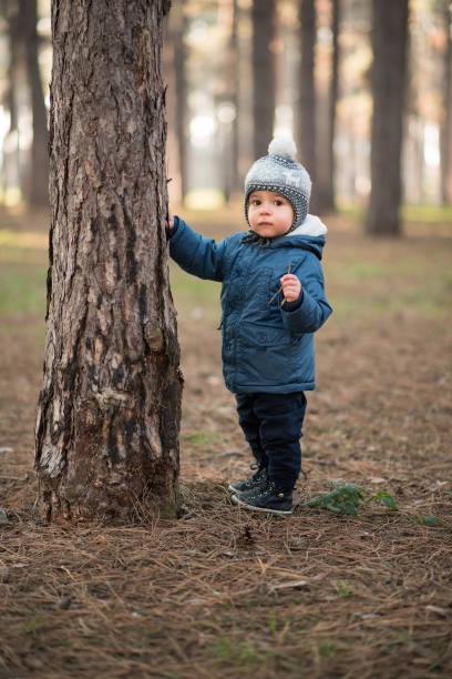 istock Little child hiking through forest 1212407018