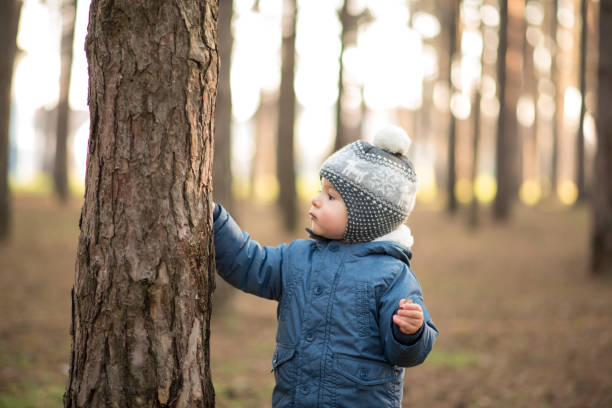 istock Toodler hiking through forest 1212407069