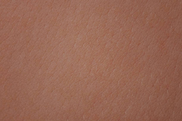 istock Clean skin human with hair background 1212407102
