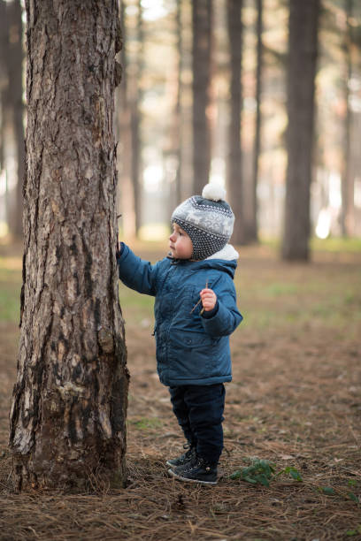 istock Child playing with trees and walking through the forest 1212407116