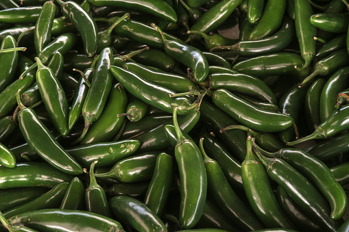 container full of unripe serrano chili peppers on display for sale at the farmer's market in downtown Venice, CA