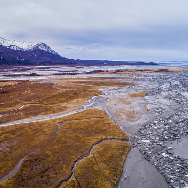 istock Alaska Rivers and Estuaries 1212411836