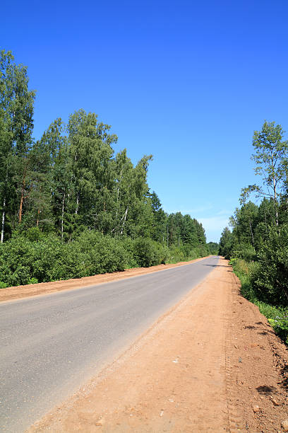 istock road amongst wood 121241324