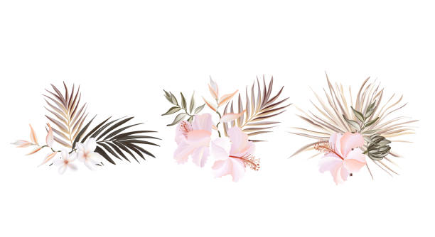 Floral hibiscus palm card vector design: wild garden exotic flower pink peach Rose white plumeria green pampas grass leaves ,elegant greenery forest bouquet print.Wedding rustic Invitation Vector Floral hibiscus palm card vector design: wild garden exotic flower pink peach Rose white plumeria green pampas grass leaves ,elegant greenery forest bouquet print.Wedding rustic Invitation Vector. ornamental grass white background stock illustrations