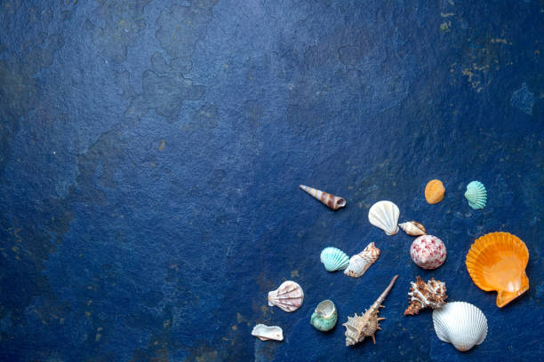 istock Seafood background on trendy classic blue background. Top view, copy space 1212415554