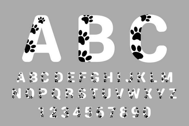 Font Typography With Animal Paw Prints Isolated Alphabet With Pet Foot  Prints Stock Illustration - Download Image Now - iStock