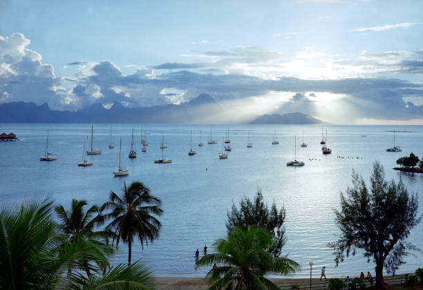 Tahitian Harbor stock photo