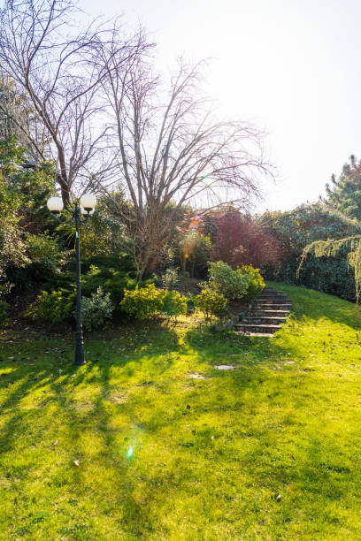 istock Stone Ladder in garden at springtime 1212422662