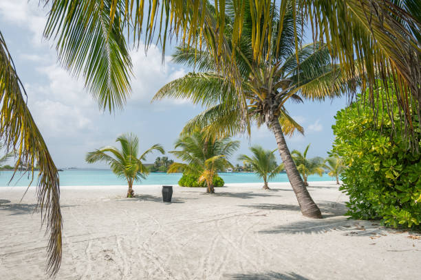 istock Paradise beach on tropical island . 1212424804