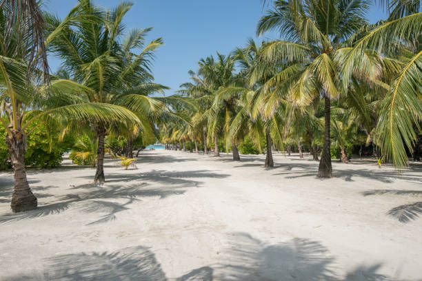 istock Paradise beach on tropical island . 1212424976