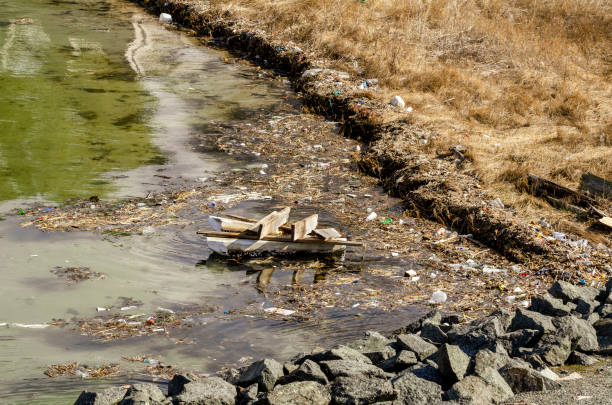 istock Flood tide frees up more trash 1212425800
