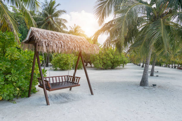 istock Tropical beach with beach swing in Maldives 1212427599