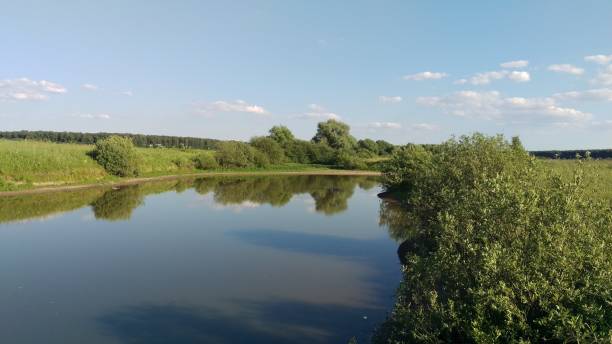 istock Flat surface of the pond among the dense greenery. 1212428580