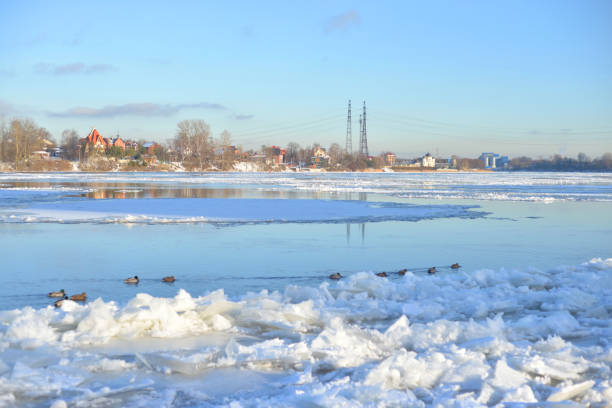 istock View of Neva River at winter. 1212430103