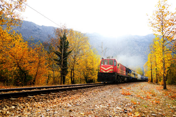 istock Passenger Train on countryside landscape in fall time 1212433519