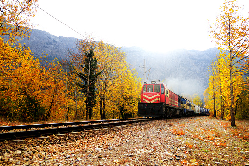 Passenger Train on countryside landscape in between colorful autumn leaves hand trees in forest of Mersin, Turkey