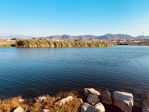 istock Lake in Coquimbo Region 1212438454