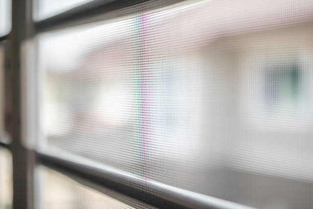 istock mosquito net wire screen on house window protection against insect 1212440425