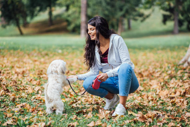 istock Casual girl playing with the dog 1212440431