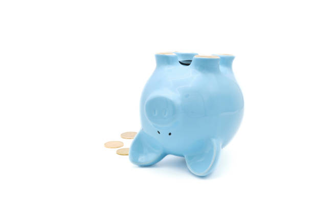 istock Piggy Bank on Back 1212444609