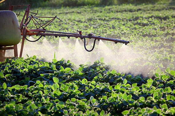 istock Industrial agricultural sprayer in the fields 121245362