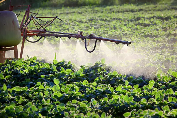 Spraying of soy field in early summer