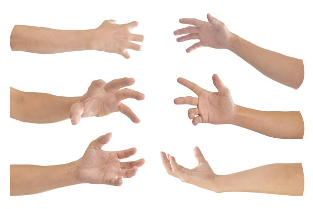 istock Collection of hand with finger bent isolated on white background. Object with clipping path. 1212472162