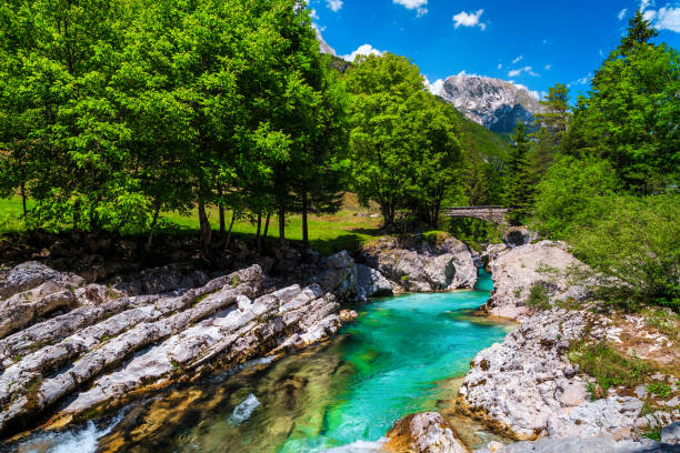 Emerald color Soca river with narrow rocky canyon, Bovec, Slovenia Gorgeous rafting and kayaking place in Europe. Beautiful recreation destination and kayaking location. Splendid turquoise Soca river and gorge, Bovec, Slovenia, Europe soca valley stock pictures, royalty-free photos & images