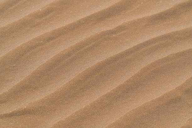 istock Sand dunes in the desert background 1212477623