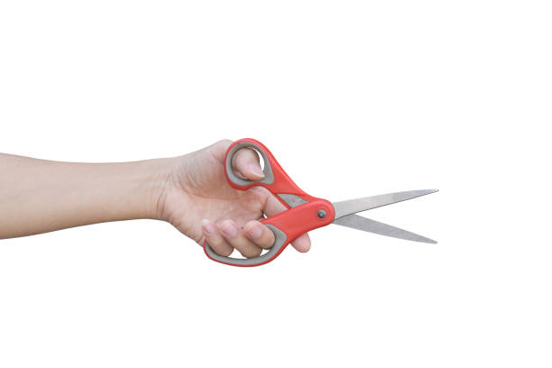 istock hand holding red scissors isolated on white background with clipping path. 1212478401