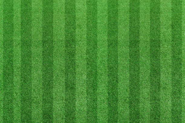 istock Top view stripe grass soccer field. Green lawn pattern background 1212479804