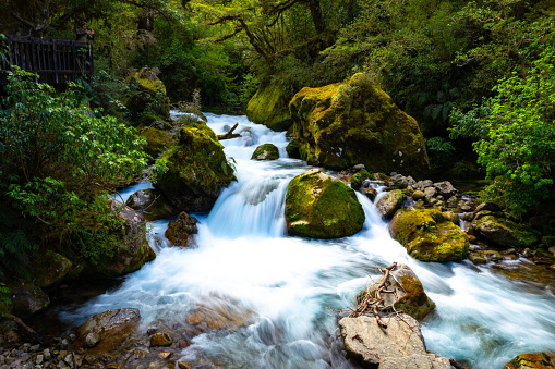 New Zealand is famous for it's beautiful and clear waterways. This particular waterway flows beautifully through some tranquil settings.