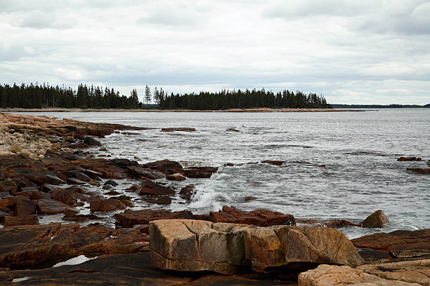 Acadia littoral accidenté de Nationa Park - Photo