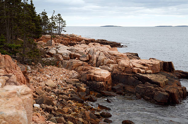 Costa frastagliata di Acadia Nationa Park - foto stock