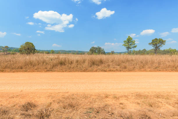 vista del camino de tierra en el campo con cielo azul - mud dirt road road dirt fotografías e imágenes de stock